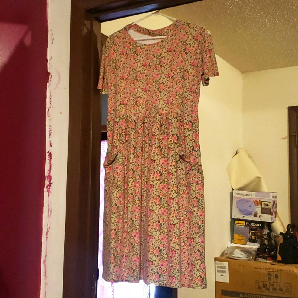 Dress that looks like its from little house on the Prarie